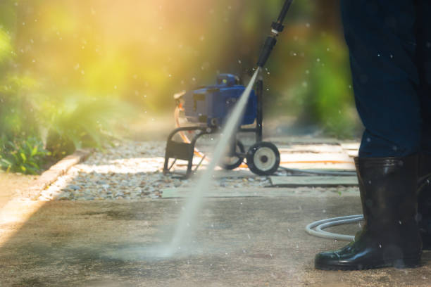 Best Roof Washing  in Nedrow, NY